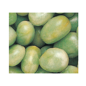 Broad beans (보드 빈)