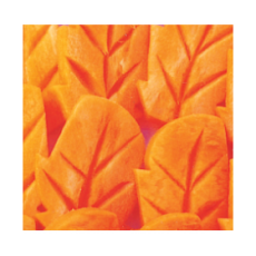 Hokyun tree leaf carrots (호균나뭇잎당근)