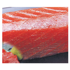 Tuna (참치비가이)