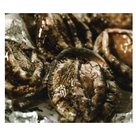 Abalone Whole (전복)