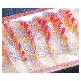 Tellapla(sushi) (초밥용역돔)