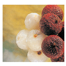 Frozen Lychee (리치-냉동)