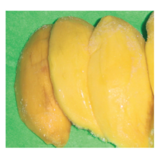 Frozen Mango Meat (망고과육)