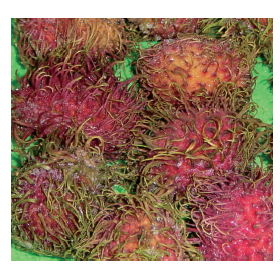 Frozen Rambutan (람부탄)