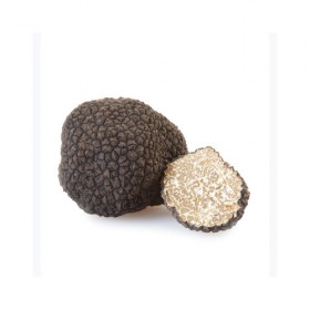 Italian Fresh Truffle - Summer