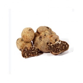 Italian Fresh Truffle -Bianchetto